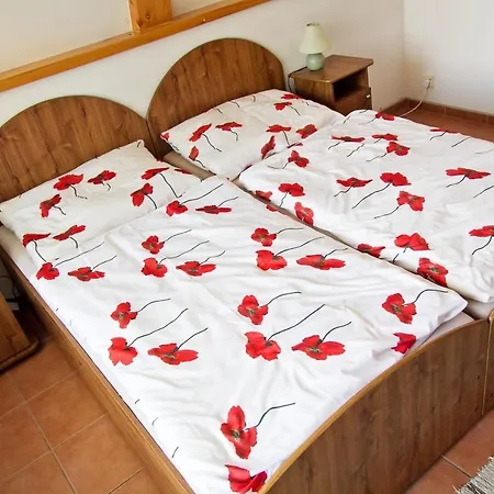 Alberto Pensión Prievidza